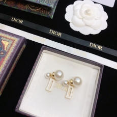 Christian Dior Earrings